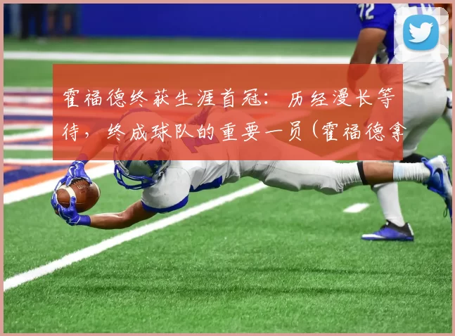 霍福德终获生涯首冠：历经漫长等待，终成球队的重要一员(霍福德拿过总冠军吗)